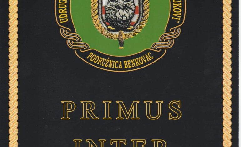  Dani 9.gardijske brigade VUKOVI u Benkovcu – PUB kviz