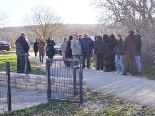 2022 - Marinovici (12)