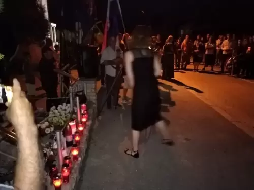2023-Bulic-Vuksic-Lisane (29)