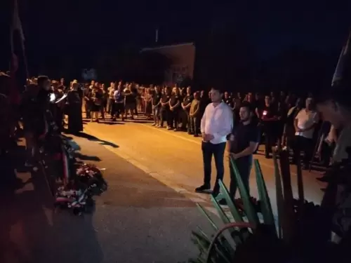 2023-Bulic-Vuksic-Lisane (46)