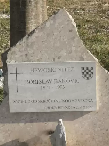 Bakovic_2024_ (47)
