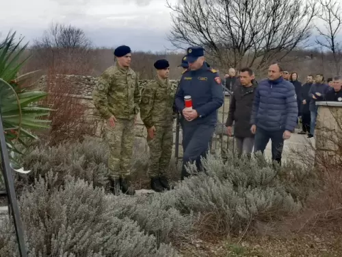 Medvidja_2024_ (31)