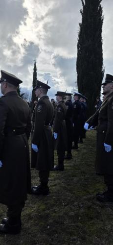 Medvidja_2026_ (2)