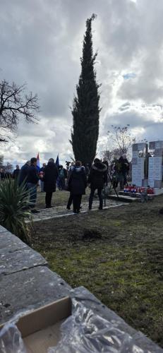 Medvidja_2026_ (8)