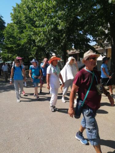 WhatsApp Image 2021-08-01 at 16.14.48