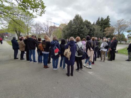 WhatsApp Image 2022-04-24 at 10.16.03 (3)