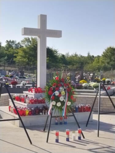 WhatsApp Image 2022-11-02 at 18.49.13